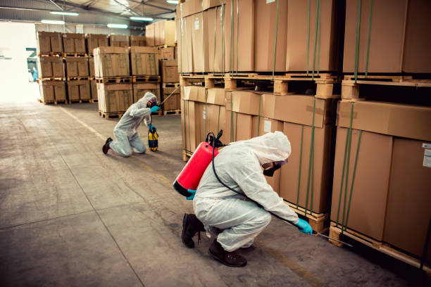 Best Flea Control Services  in Deadwood, SD