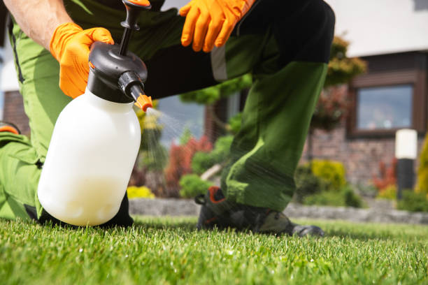 Reliable Deadwood, SD Pest Control Solutions