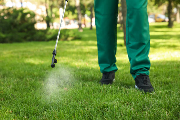 Best Wildlife Control Services  in Deadwood, SD