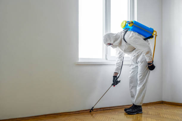 Pest Control Cost in Deadwood, SD