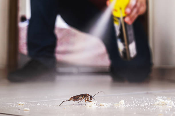 Best Pest Control for Homes  in Deadwood, SD