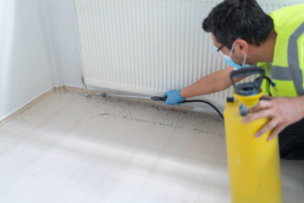 Best Affordable Pest Control Services  in Deadwood, SD