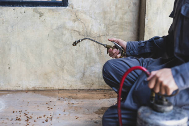 Best Pest Control Near Me in Deadwood, SD